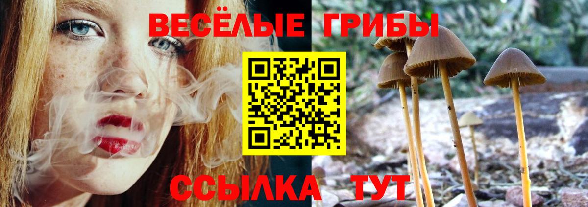 Тимашёвск  Галлюциногенные грибы MAGIC MUSHROOMS  Вход с VPN  Галлюциногенные грибы MAGIC MUSHROOMS 
