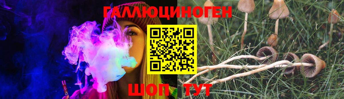 Псилоцибиновые грибы Psilocybe Тимашёвск